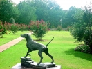 PICTURES/National Bird Dog Museum/t_Bird Dog Statue.jpg